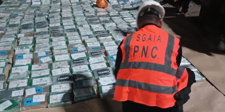 Hallazgos de droga representan un golpe al narcotráfico