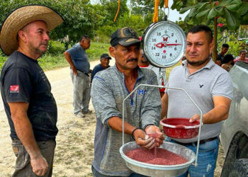 MAGA capacita en Petén sobre nutrición de ganado bovino