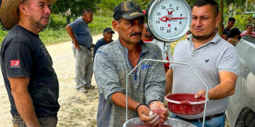 MAGA capacita en Petén sobre nutrición de ganado bovino