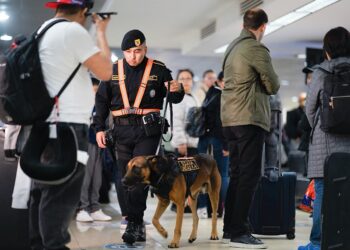 Gobierno fortalecerá la seguridad en los aeropuertos del país. / Foto: Mingob.