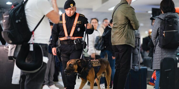 Gobierno fortalecerá la seguridad en los aeropuertos del país. / Foto: Mingob.