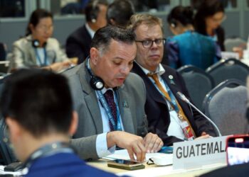 Guatemala participa en la XIII Conferencia Ministerial de la OMC, en Emiratos Árabes Unidos