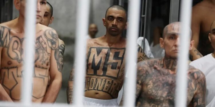El Salvador procesa a 492 líderes de la mara “Salvatrucha” por 37 mil delitos