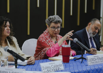 La doctora Lucrecia Peinado (centro) dialoga con autoridades para crear estrategias en favor de la primera infancia. /Foto: SBS