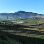 MAGA recomienda proteger del frío cultivos y animales