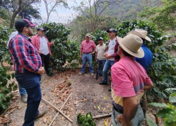 Promueven el fortalecimiento agrícola en el corredor seco