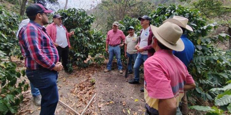 Promueven el fortalecimiento agrícola en el corredor seco