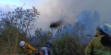 Apagafuegos atendiendo el siniestro en las faldas del volcán de Agua. / Foto: Conred.