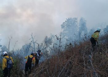 Labores de combate del incendio en el volcán de Agua este miércoles. / Foto: Conred.
