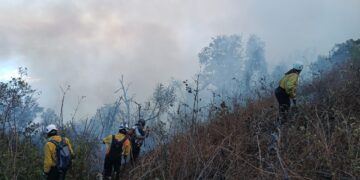 Labores de combate del incendio en el volcán de Agua este miércoles. / Foto: Conred.