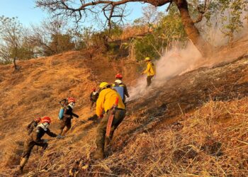 Coordinación interinstitucional permite controlar incendio en el volcán Las Víboras