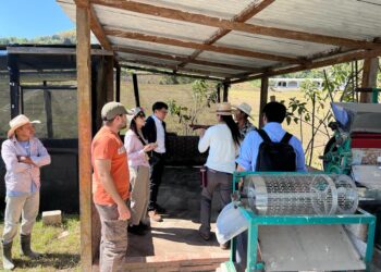 En Jalapa promueven prácticas agrícolas sostenibles para mejorar la competitividad del café