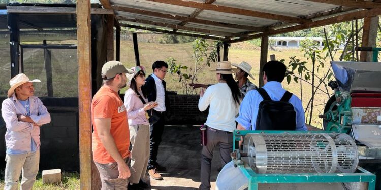 En Jalapa promueven prácticas agrícolas sostenibles para mejorar la competitividad del café