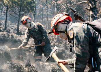 Brigadistas siguen combatiendo incendios forestales en varios puntos del país. / Foto: Libertad Garrido, SCSP.