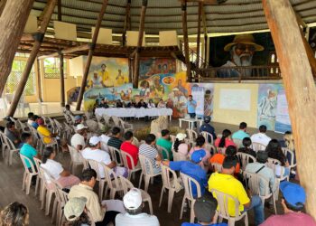 Dan seguimiento a los períodos de veda para el Caribe guatemalteco