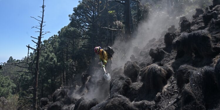 Cuerpos de socorro continúan con la labor para sofocar incendios en el país. /Foto: Álvaro Interiano