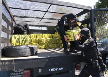 Se ha logrado la detención de 84 personas por delitos de narcotráfico. / Foto: Mingob.