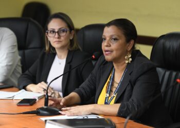Lorena Gobern, directora de epidemiología del Ministerio de Salud informa sobre casos de la enfermedad inmunológica aguda sospechoso Guillain Barré. /Foto: Carlos Jacinto