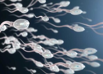 Ilustración de espermatozoides. / Foto: UNAM Global.