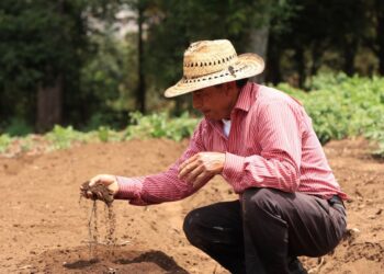 Cambio climático y recomendaciones para el sector agrícola