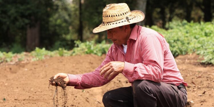 Cambio climático y recomendaciones para el sector agrícola