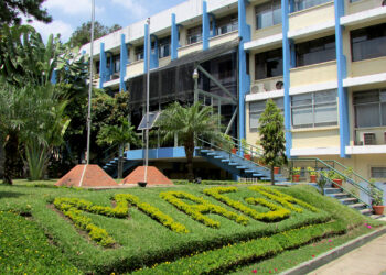 La cooperación entre las autoridades involucradas será crucial para resolver esta disputa y restablecer el equilibrio en la industria del camarón. / Foto: MAGA.