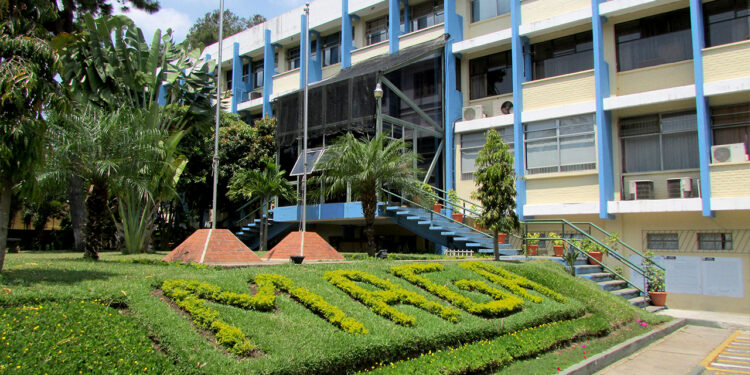 La cooperación entre las autoridades involucradas será crucial para resolver esta disputa y restablecer el equilibrio en la industria del camarón. / Foto: MAGA.