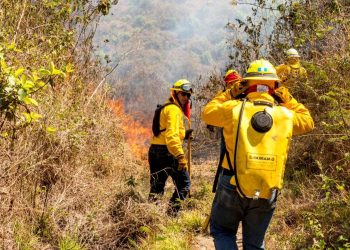 Se incrementan a 38 los incendios activos en el país