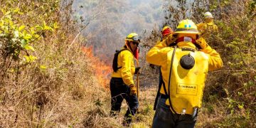 Se incrementan a 38 los incendios activos en el país