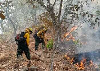 Conred reporta 22 incendios activos en todo el país