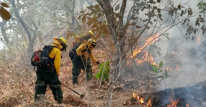 Conred reporta 22 incendios activos en todo el país