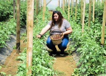 Cultivos ecológicos: mejor impacto ambiental si están agrupados