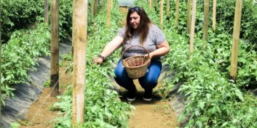 Cultivos ecológicos: mejor impacto ambiental si están agrupados