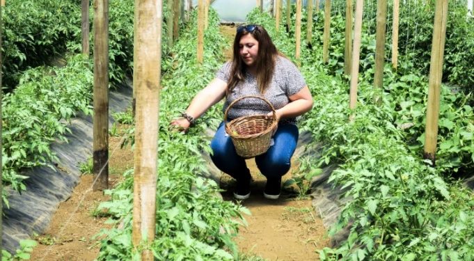 Cultivos ecológicos: mejor impacto ambiental si están agrupados