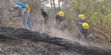 Incendios forestales han dejado 4 mil 293 hectáreas con daños