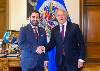Comisionado nacional contra la Corrupción se reúne con secretario general de la OEA. / Foto: OEA.