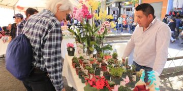 Mineco lidera planes de desarrollo y competitividad. / Foto: DCA.