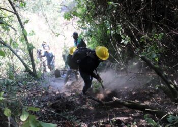 Conred mantiene apoyo a 16 incendios forestales activos en el país