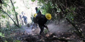 Conred mantiene apoyo a 16 incendios forestales activos en el país