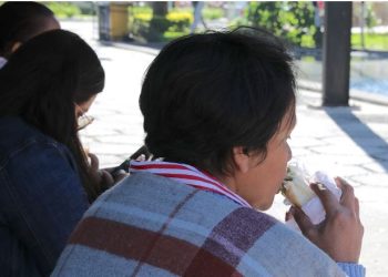 Cuídese de los malestares intestinales propiciados por el calor