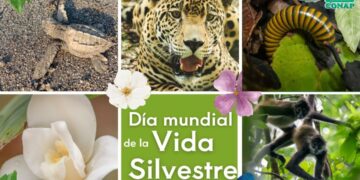 Día mundial de la vida silvestre