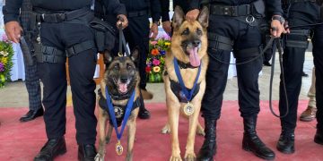 Tusa y su guía, ocho años de compromiso policial