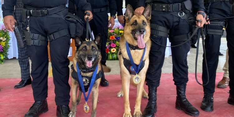 Tusa y su guía, ocho años de compromiso policial