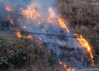 La Conred reporta 38 incendios en el país
