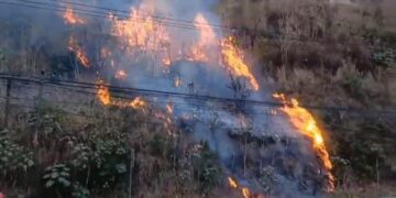 La Conred reporta 38 incendios en el país