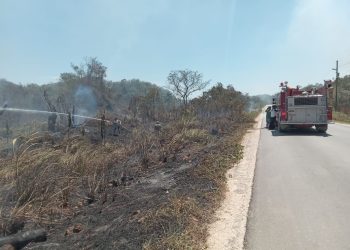 Conred reporta 14 incendios activos en todo el país