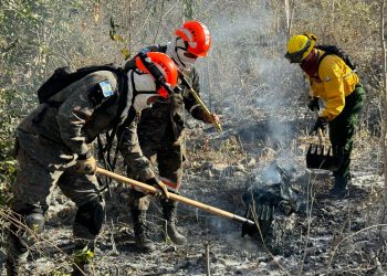 Conred coordina esfuerzos para sofocar incendios forestales. Foto. Conred.