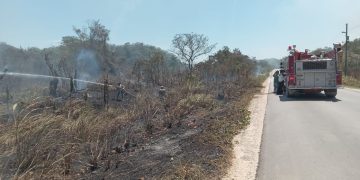 Conred reporta 14 incendios activos en todo el país