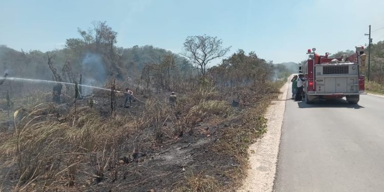 Conred reporta 14 incendios activos en todo el país