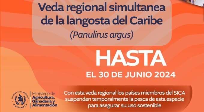 MAGA declara veda temporal de pesca de langosta